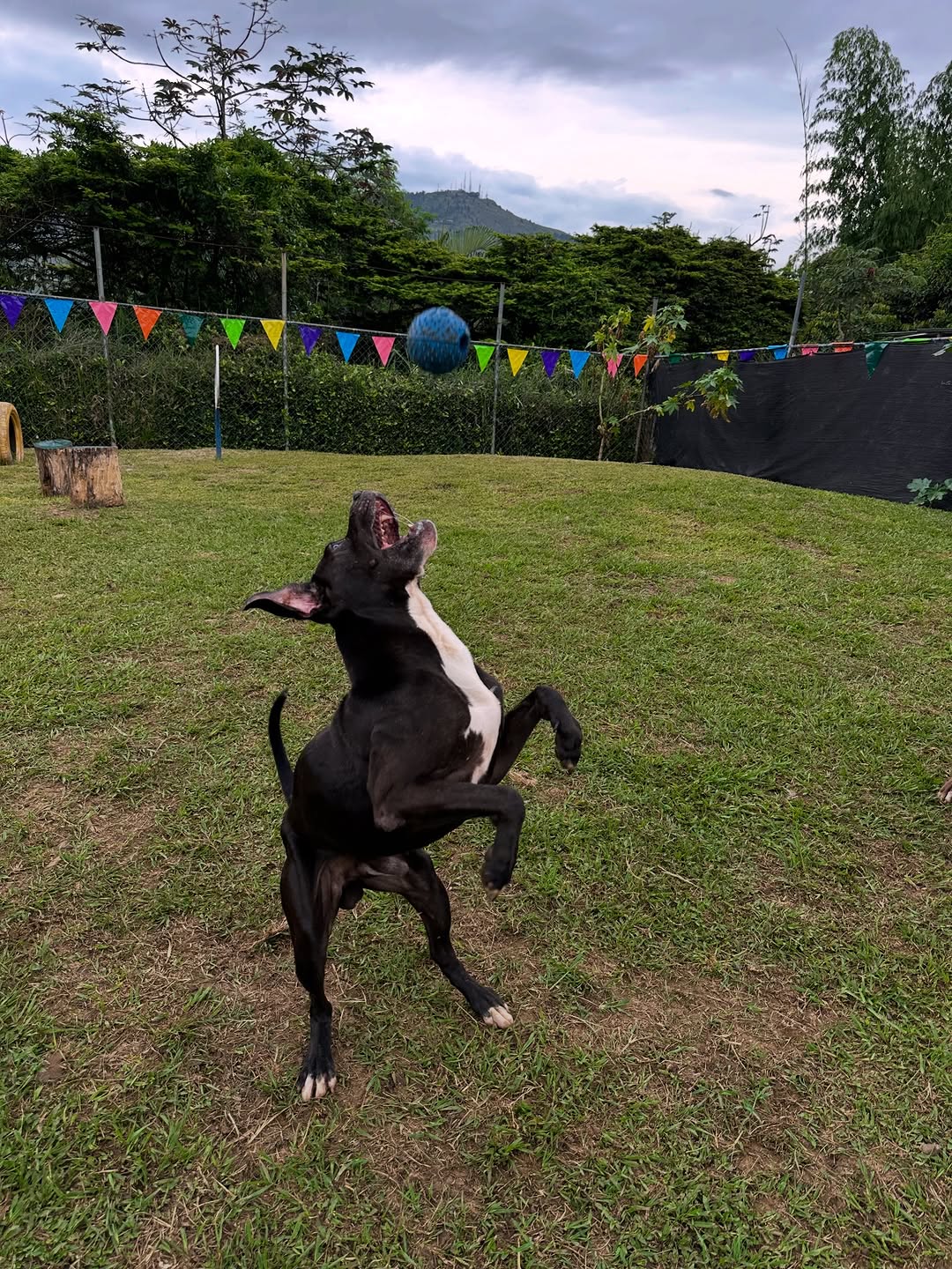 Huéspedes felices en Hotel Canino Cali