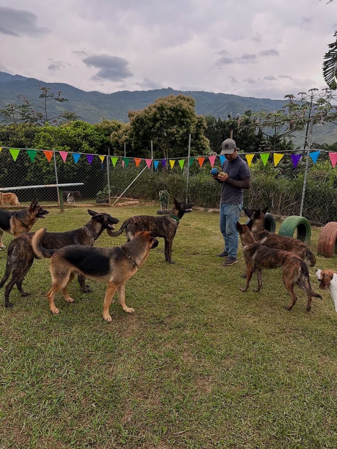 Mañanas de ejercicio y energía en Hotel Canino Cali