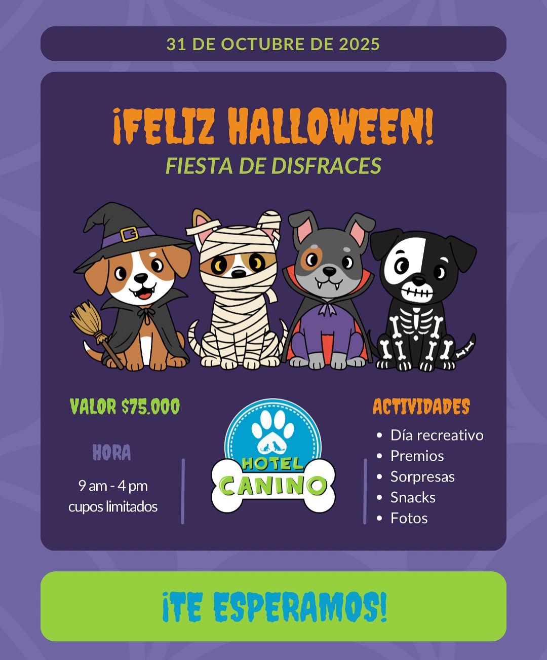 Agenda y actividades en Hotel Canino Cali